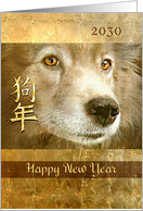 Happy Chinese New Year of the Dog 2030 Dog with Golden Eyes card