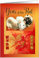 Year of the Rat Chinese New Year Three Rats & Ginkgo for Business card