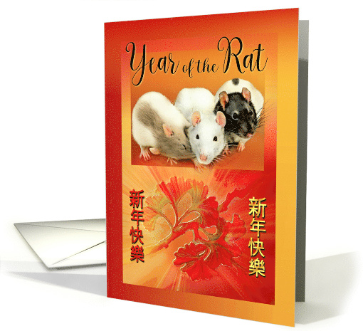 Year of the Rat Chinese New Year Three Pet Rats & Ginkgo Leaves card