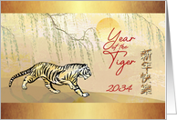 Year of the Tiger...