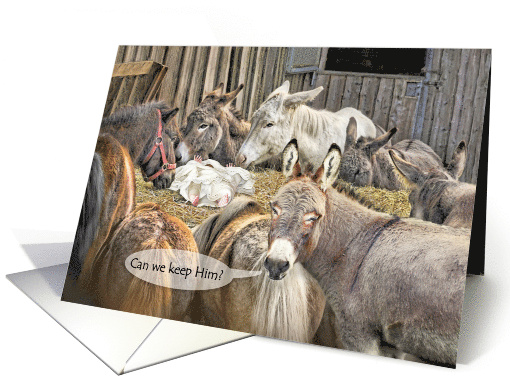 Baby Jesus in Manger with Donkeys and Ponies for Funny Christmas card