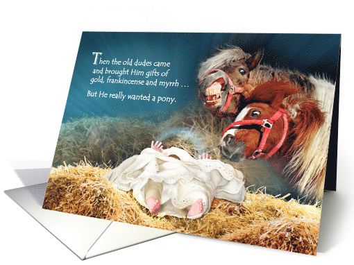 Christmas Ponies with Baby Jesus in Manger Funny Christmas Pony card