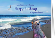 To My Friend Happy Birthday Cute Pigeon on Beach card