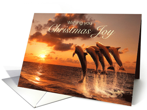 Christmas Dolphins Leaping for Joy card (1742030)