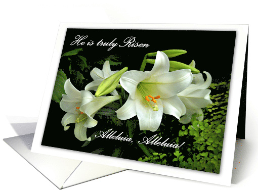He Is Truly Risen Easter Lilies for Sister Pauline Gratton card
