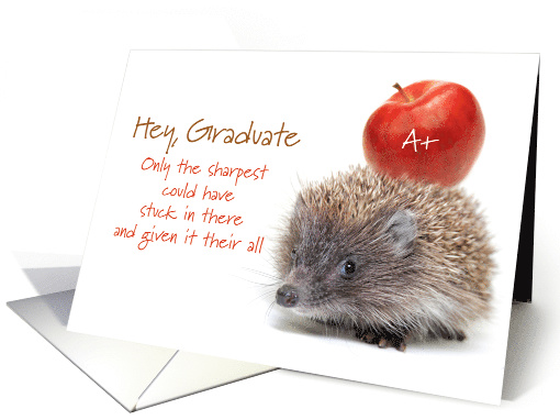 Hedgehog and Apple Graduation Doctor of Acupuncture card (1793738)