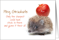 Hedgehog and Apple Graduation Doctor of Acupuncture card