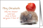 Hedgehog and Apple Graduation Doctor of Acupuncture card