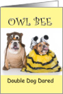 Two Dogs in Owl and Bee Costumes for Best Friend card