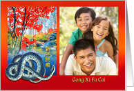 Chinese Year of the Snake Photo with Blue Snake and Pond Custom card