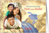 2025 Chinese New Year of the Snake Blue Waterfall for Photo card