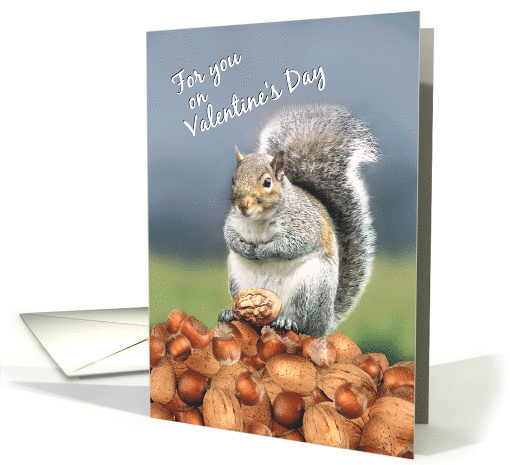 Happy Valentine's Day to You Cute Squirrel with Nut card (758482)