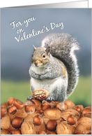 Happy Valentine’s Day to You Cute Squirrel with Nut card