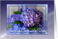 Happy Mother’s Day, Purple Hydrangea Bouquet card