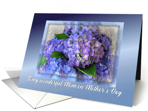 To Mom Happy Mother's Day from Daughter with Purple Hydrangeas card