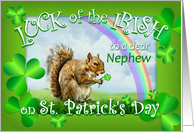Happy St. Patrick’s Day to Nephew Lucky Squirrel & Clover Nephew card