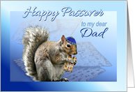 To Dad Happy Passover Squirrel with Matzah and Kippah card