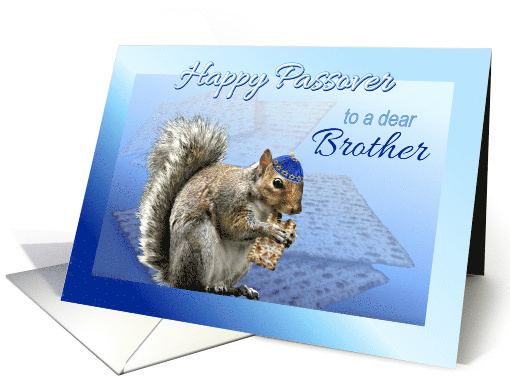 Happy Passover Squirrel to Brother Squirrel With Matzah & Kippah card