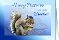 Happy Passover Squirrel to Brother Squirrel With Matzah & Kippah card