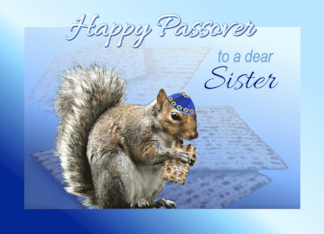 Happy Passover to Sister Cute Squirrel with Matzah & Kippah