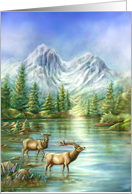 Morning Light, Elks and Mountain Lake, Original Art Blank Card