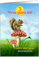 3 Year Old Grandson, Happy 3rd Birthday, Squirrel on Toadstool card