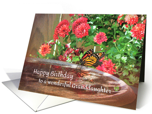 Granddaughter Happy Birthday Red Mums Monarch Butterfly Birdbath card