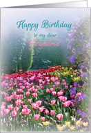 Grandma Happy Birthday, Tulip Garden Happy Birthday Grandmother card