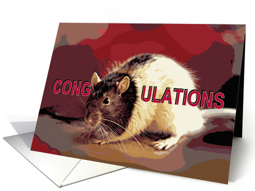 Congratulations, Pet Rat Cong-RAT-ulations card (853316)