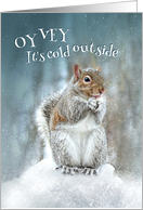 Shivering Squirrel and Warm Chanukah Greetings Happy Hanukkah card