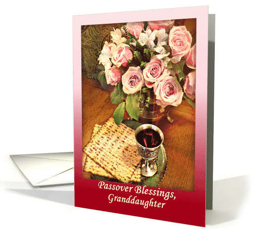 Granddaughter Passover Blessings Pink Roses for Passover Seder card