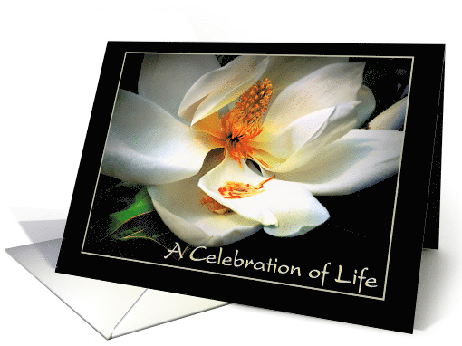 Celebration of Life Blank Memorial Folder for Funeral with... (946381)