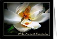 Deepest Sympathy...