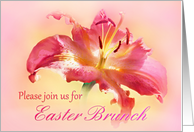 Easter Brunch Invitation, Pink Stargazer Lily card