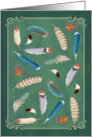 Birthday Wishes with Colorful Feathers card