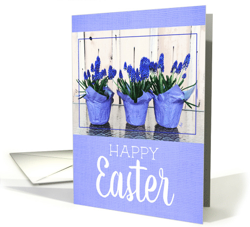 Easter Greetings and Grape Hyacinth with rustic background card