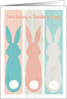 Easter Greetings with Rustic Pastel Bunnies card