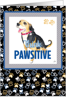 Sweet dog encouraging you to Think Paws-itive card