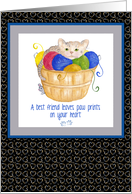 Cat sympathy Card