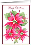 Christmas Poinsettias and Mistletoe for Christmas