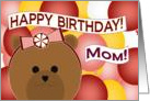 Mom from Daughter - Celebrate Fun Times Together - Happy Birthday card
