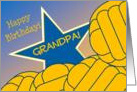 Wish Your Grandpa & #1 Water Polo Fan a Happy Birthday/Thank You card
