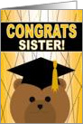 Sister - Any Graduation Celebration with Cap & Gown Bear card