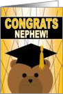 Nephew - Any Graduation Celebration with Cap & Gown Bear card