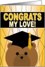 My Love - Life Partner - Any Graduation Celebration with Cap & Gown Bear card