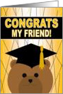 My Friend - Any Graduation Celebration with Cap & Gown Bear card