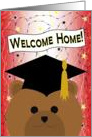 Welcome Home College Student! - Cap & Gown Bear card
