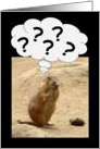????? Prairie Dog Perplexed - Groundhog Day Card