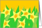 Daffodils Thinking of You Far Away Graphic Design card