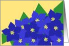 Larkspurs Welcome Home Graphic Design card